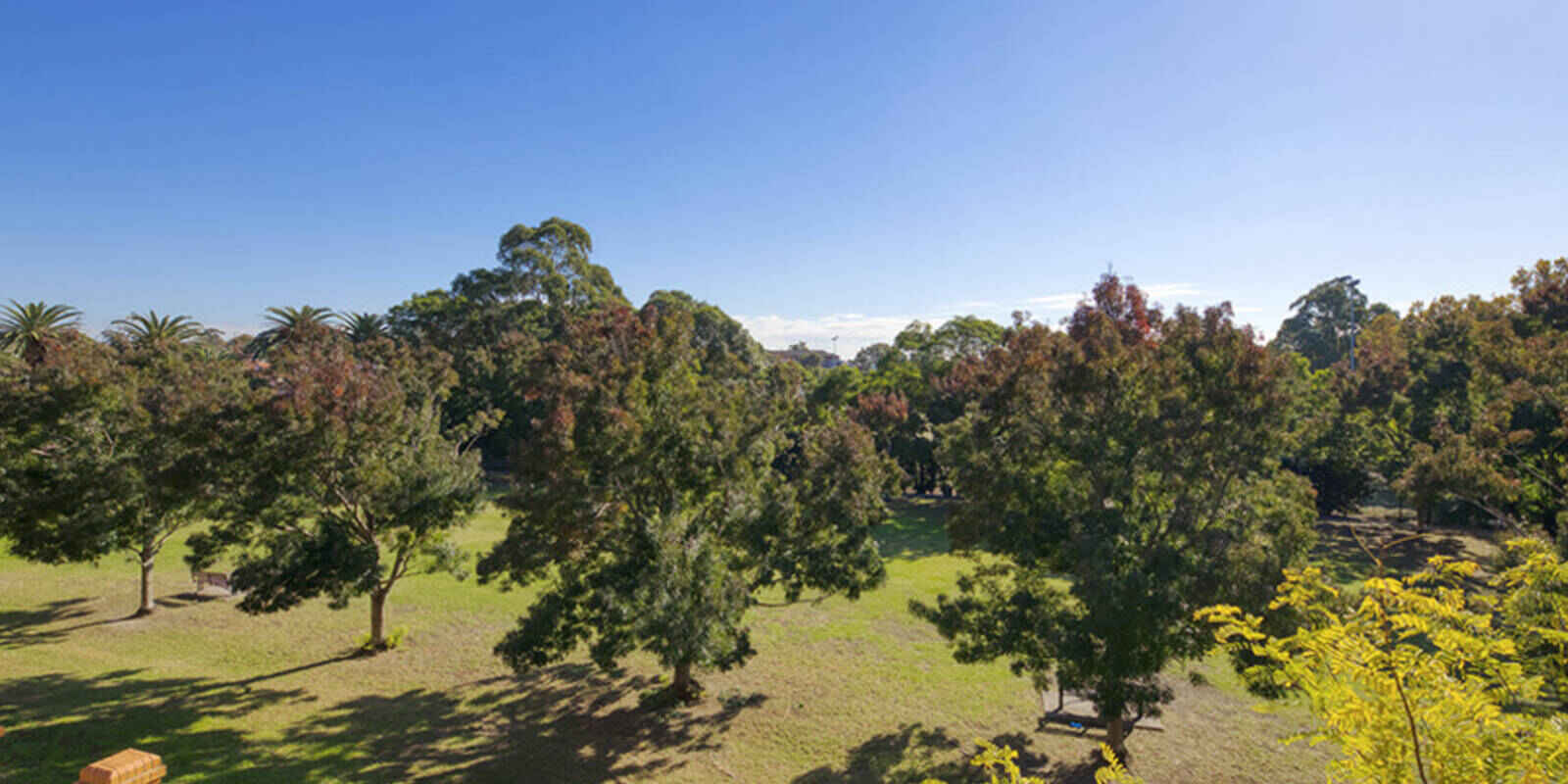 12/11 Williams Parade Dulwich Hill