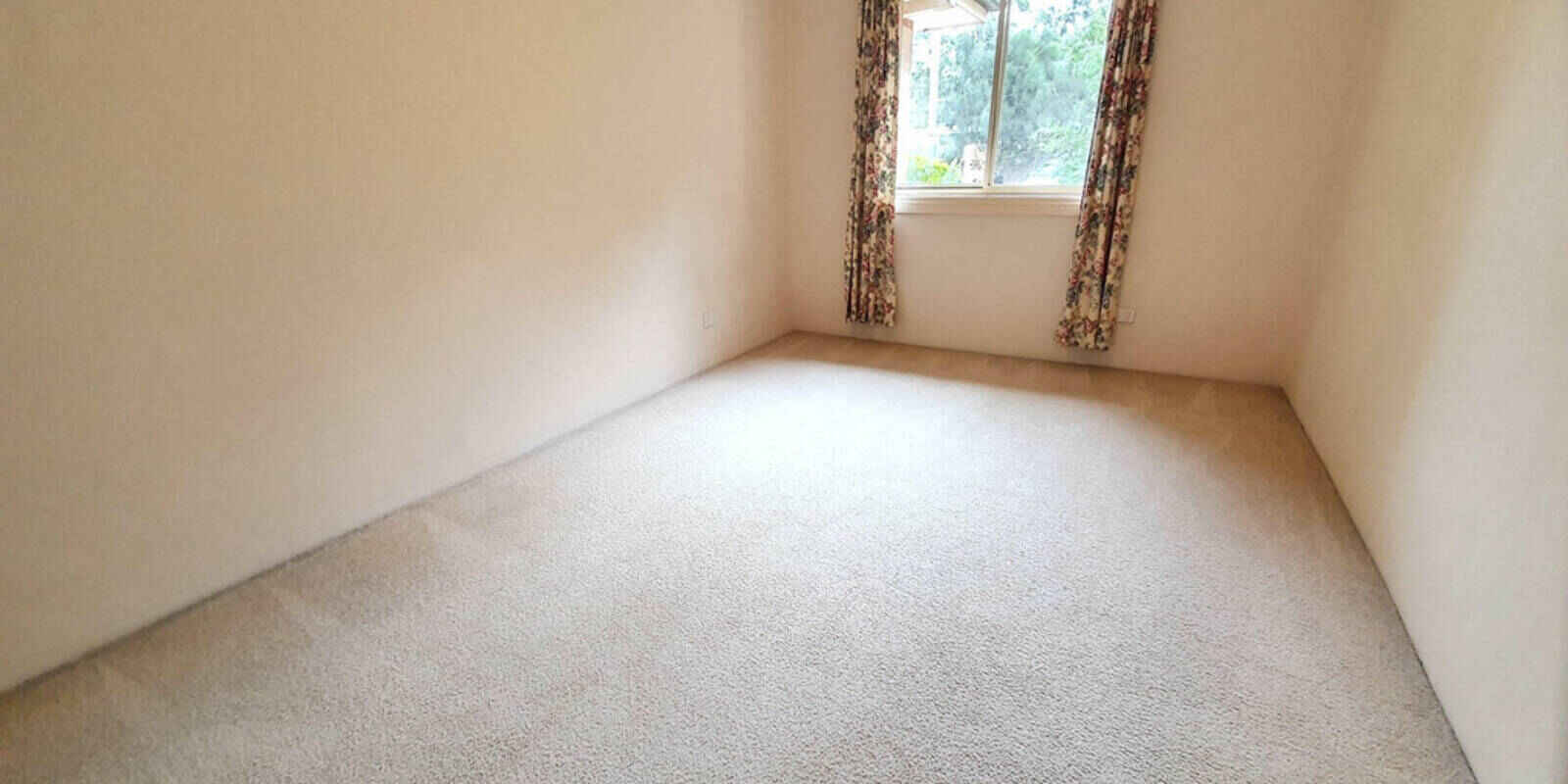 3/24 Hutton Street Hurlstone Park