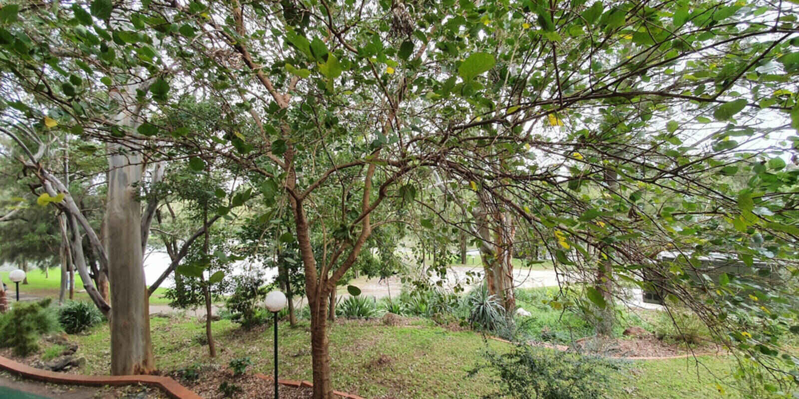 3/24 Hutton Street Hurlstone Park