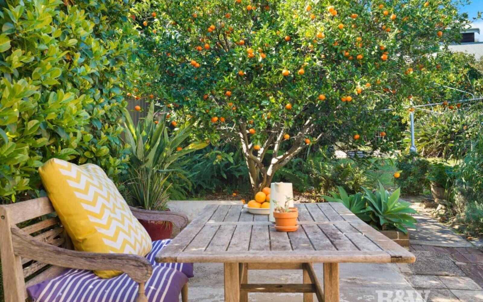 House For Sale 26 Railway Street Hurlstone Park