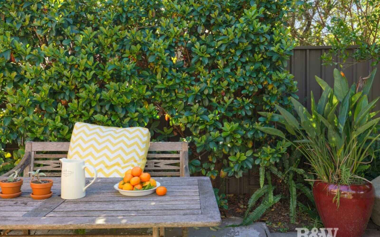 House For Sale 26 Railway Street Hurlstone Park