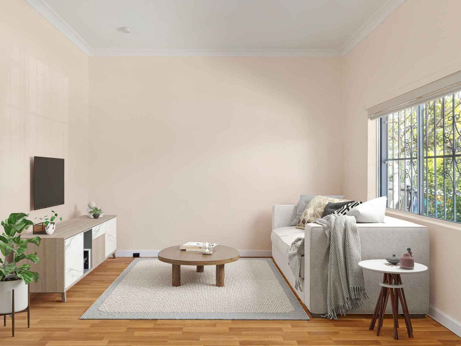 67 Petersham Road Marrickville