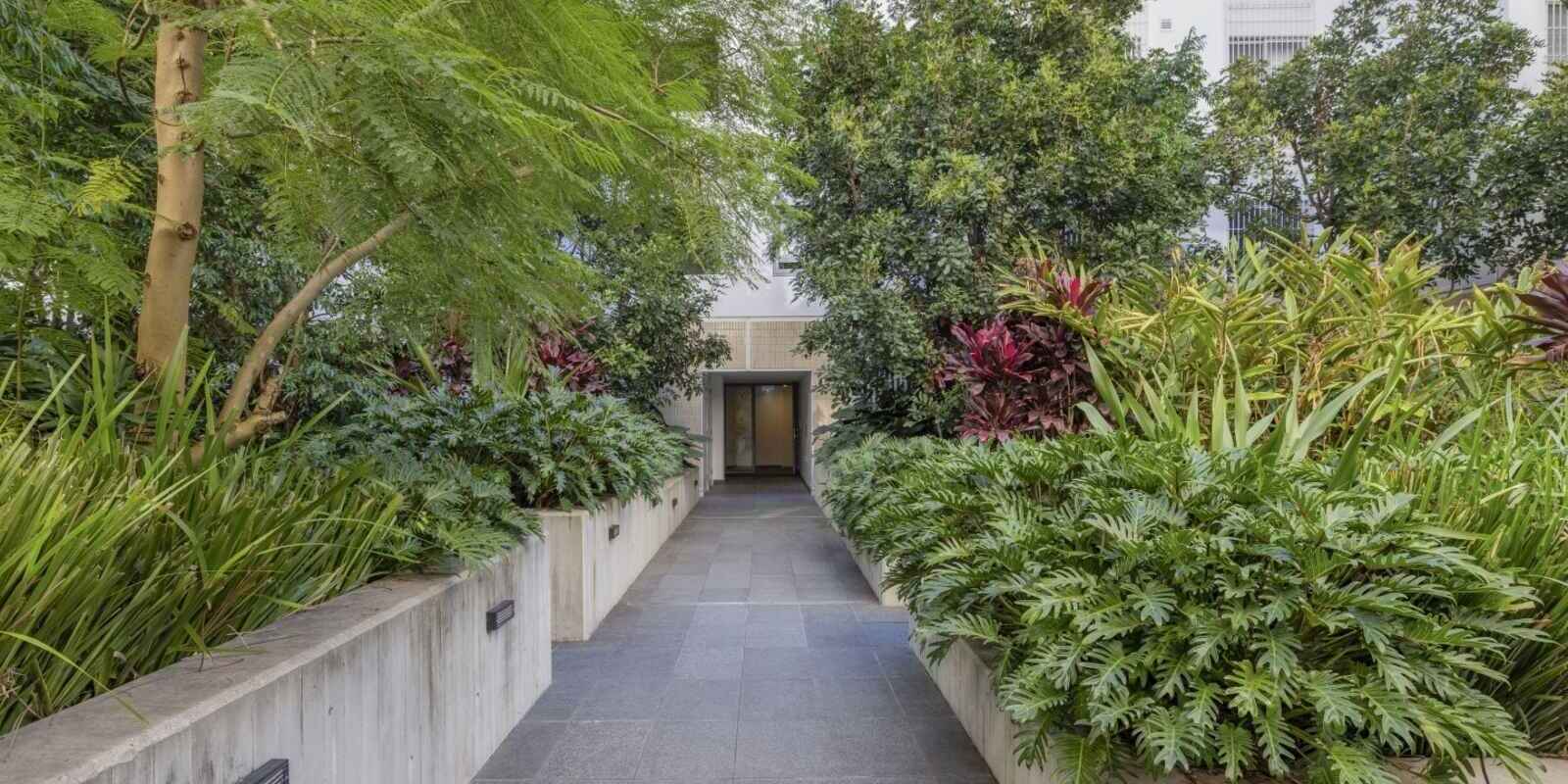 281/803 New Canterbury Road Dulwich Hill