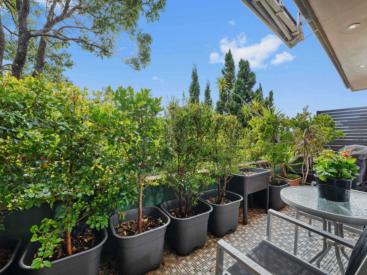 15/46 Terrace Road Dulwich Hill