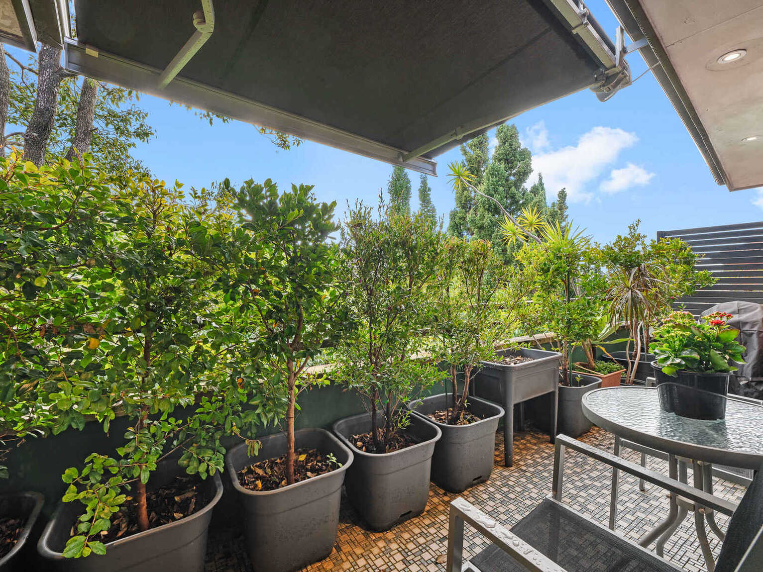 15/46 Terrace Road Dulwich Hill
