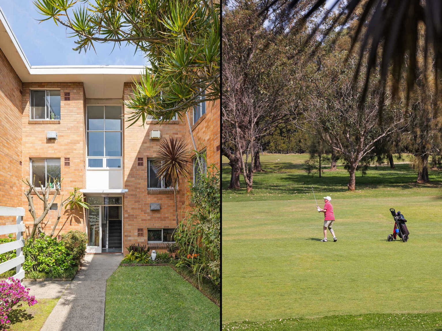 24/22 Ness Avenue Dulwich Hill