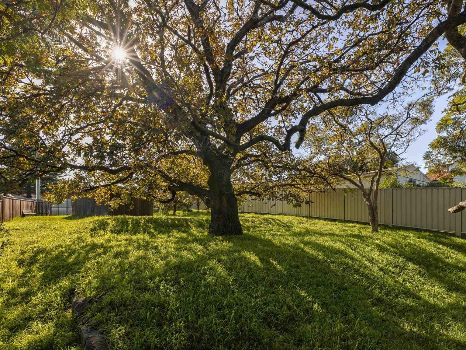 86, 88-90 Maroubra Road Maroubra 86, 88-90 Maroubra Road Maroubra