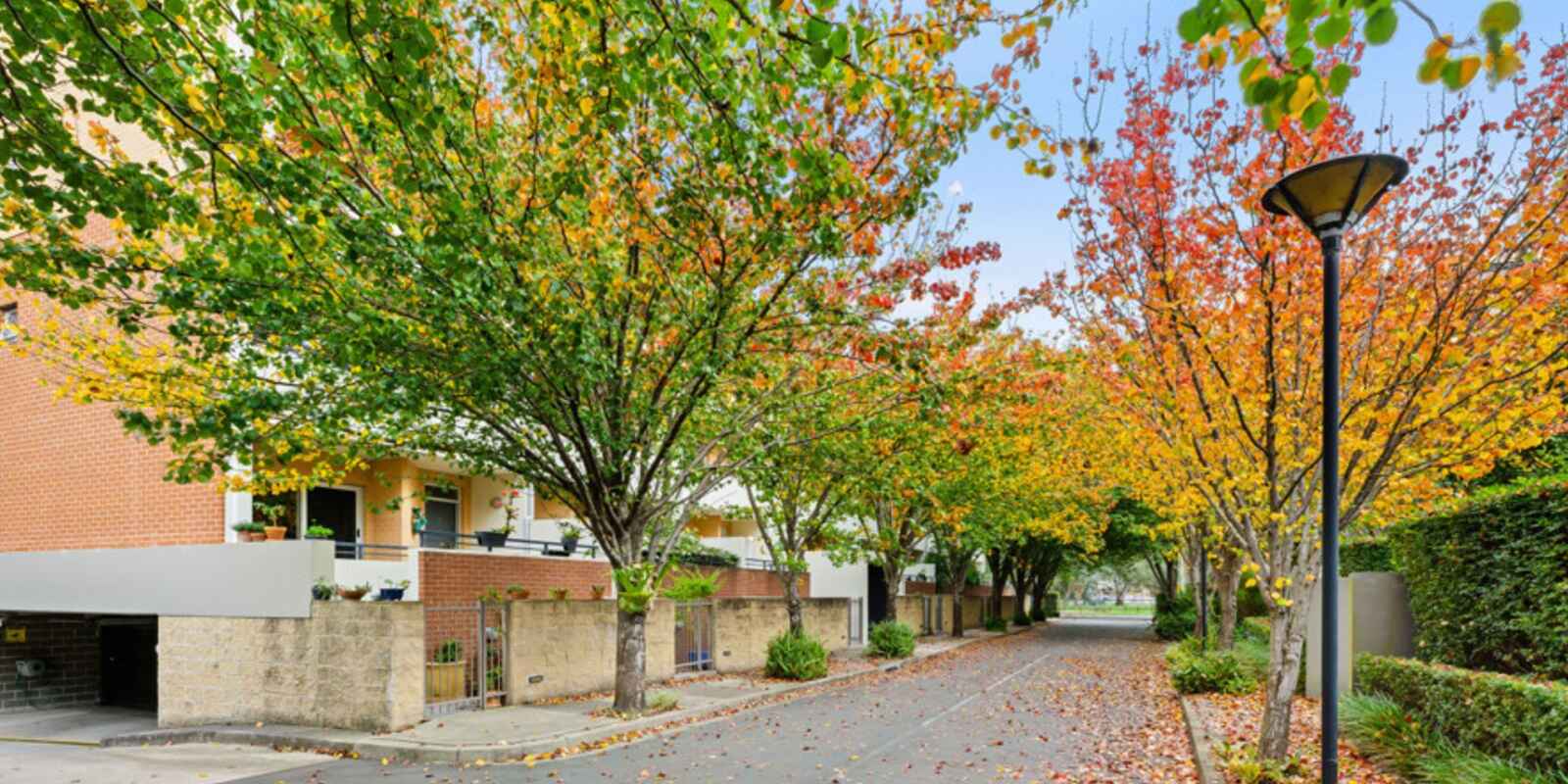 69/20 Close Street Canterbury