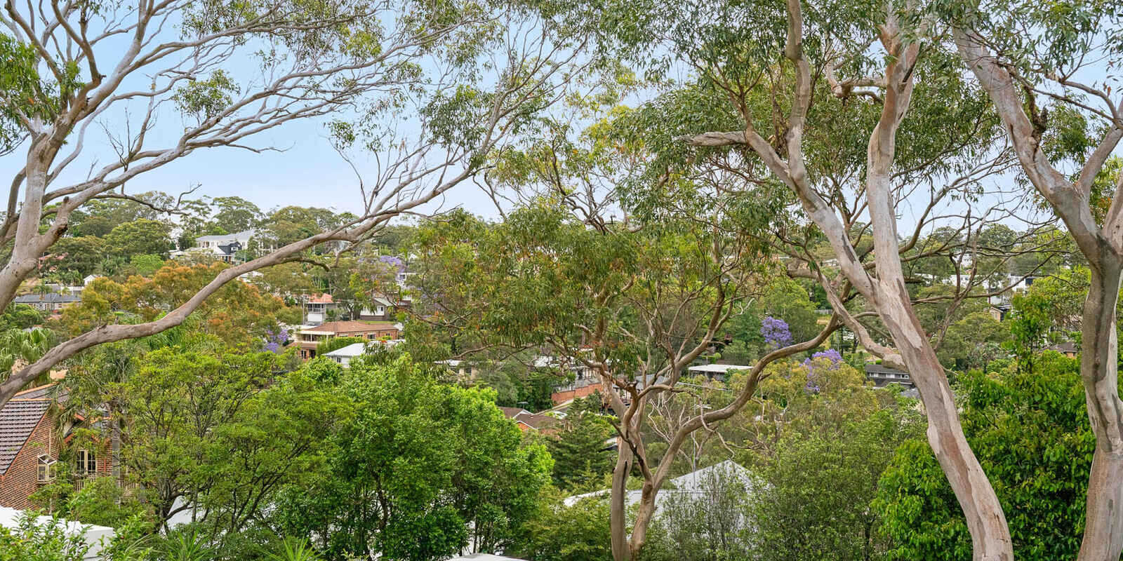 7 Calliope Road Miranda