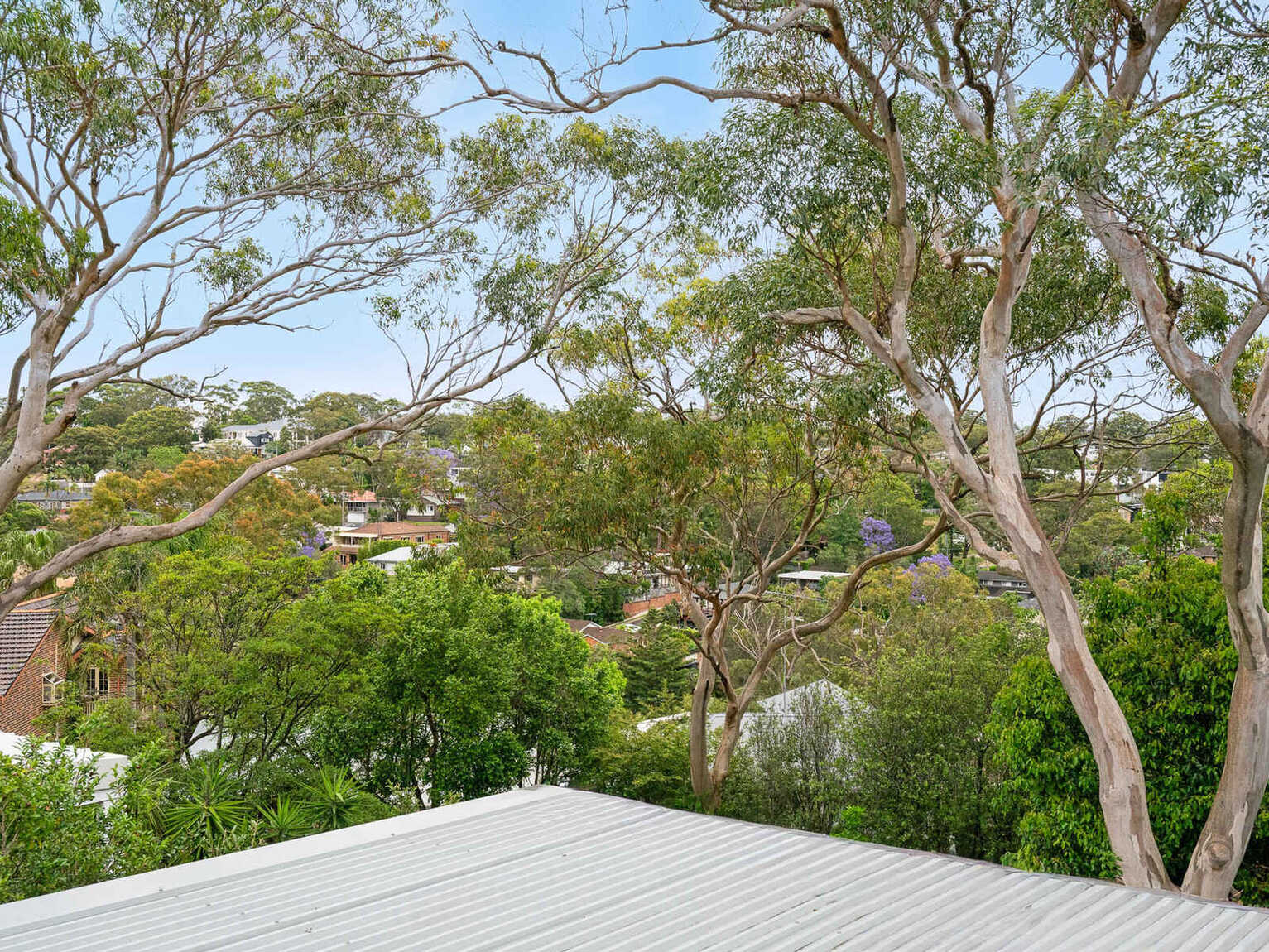 7 Calliope Road Miranda