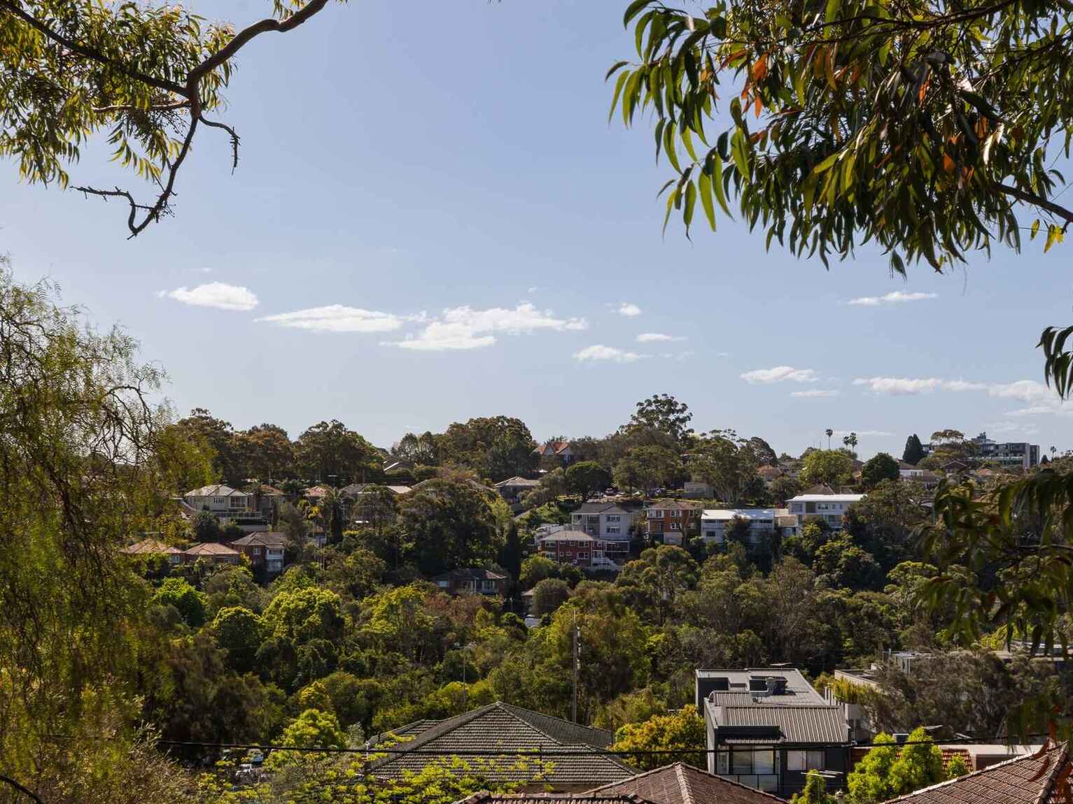 2 Crewe Street Bardwell Park