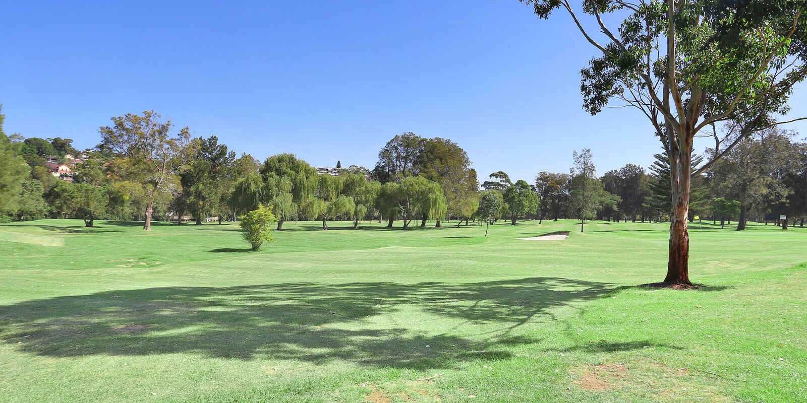 1/9 Hill Street Marrickville