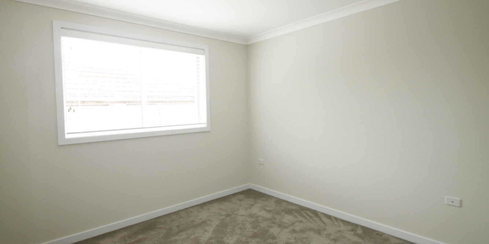 1/3 Roach Street Marrickville