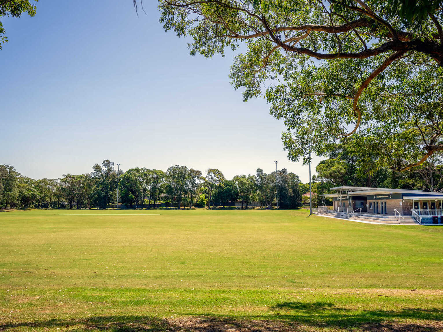 88 Canterbury Road Hurlstone Park