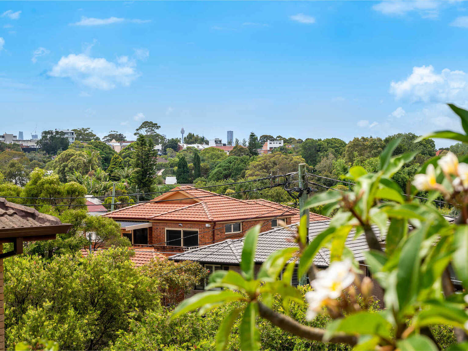 8/46 Terrace Road Dulwich Hill
