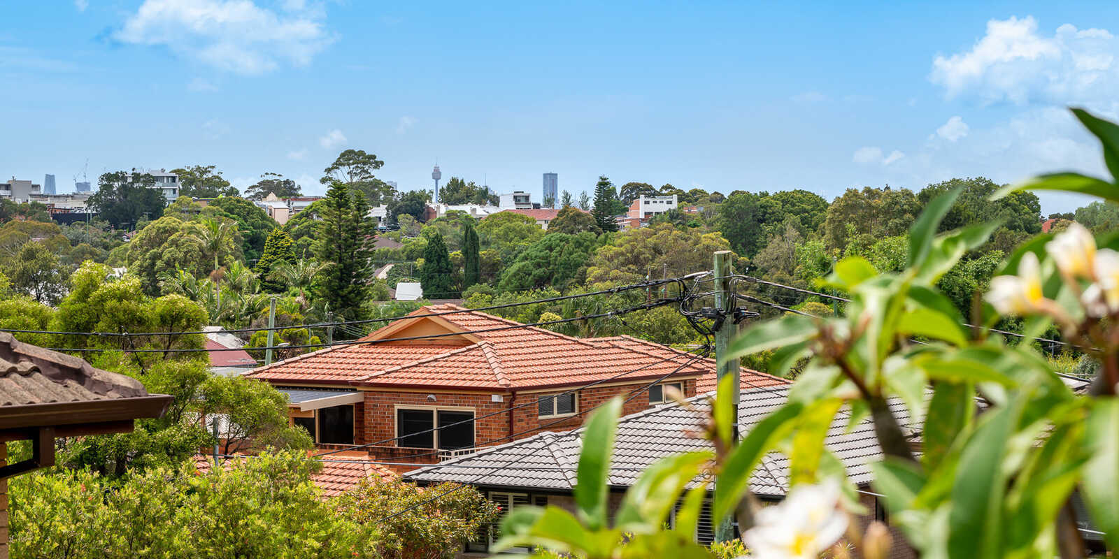 8/46 Terrace Road Dulwich Hill
