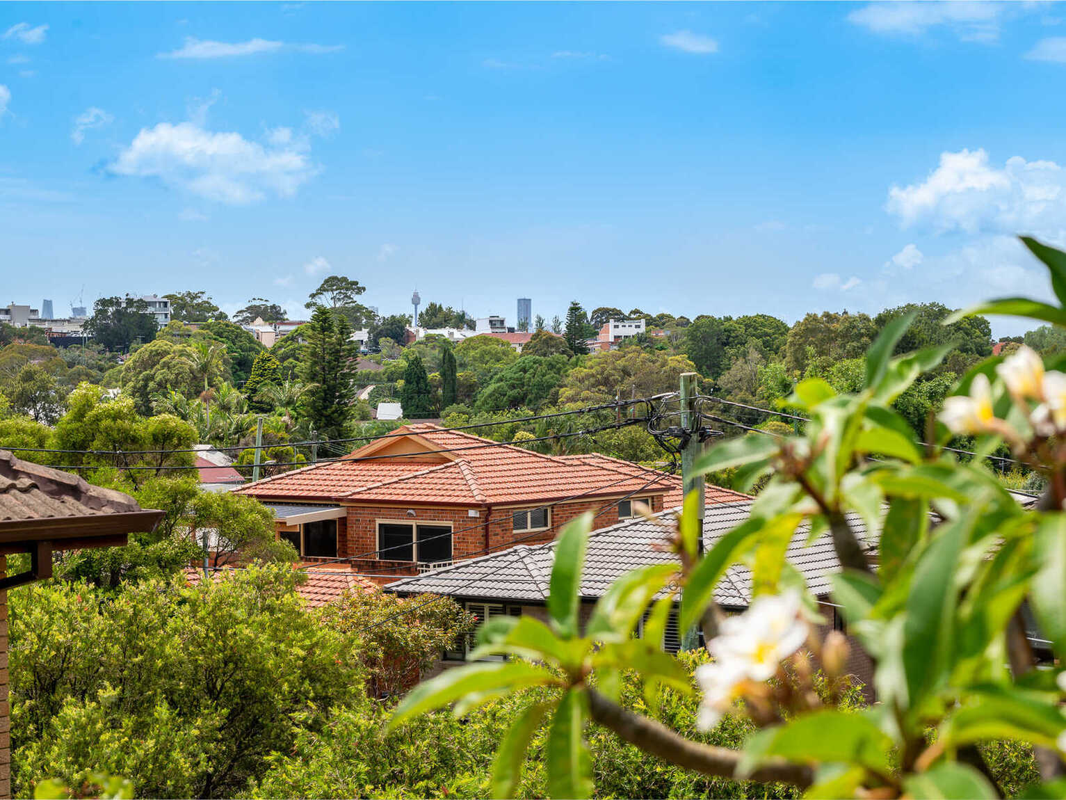 8/46 Terrace Road Dulwich Hill