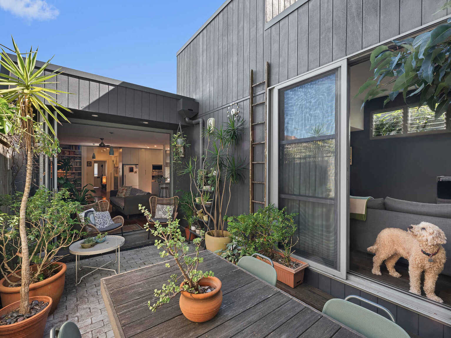 14 William Street Ashfield 14 William Street Ashfield