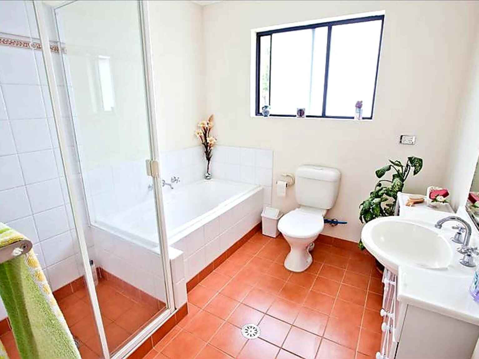 1/29 Alfred Street Clemton Park