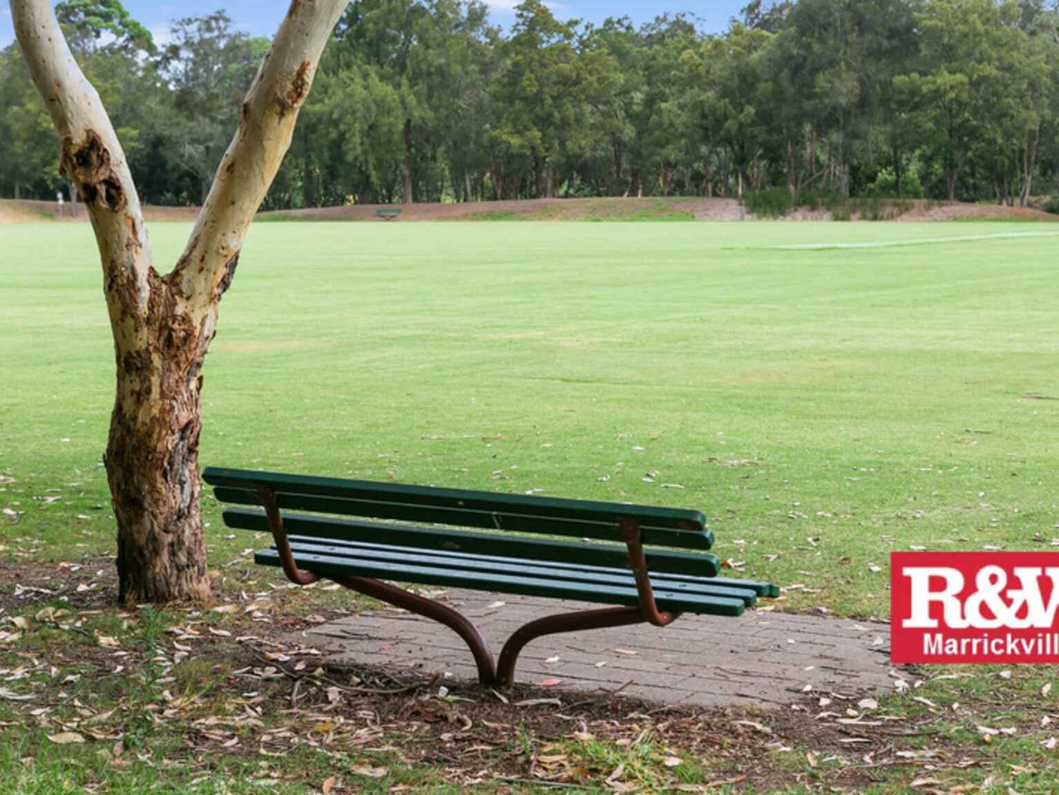 55 Duntroon Street Hurlstone Park