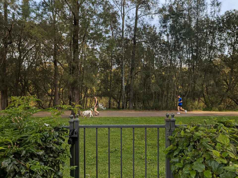 3/14A Hurlstone Avenue Hurlstone Park