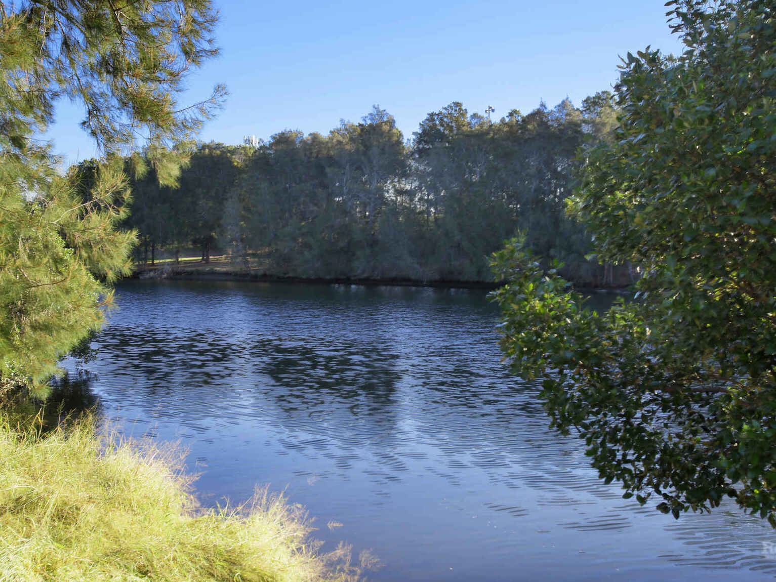 7/48 Duntroon Street Hurlstone Park