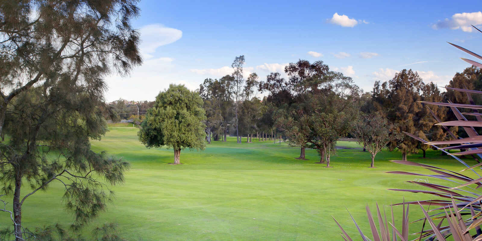 7/48 Duntroon Street Hurlstone Park