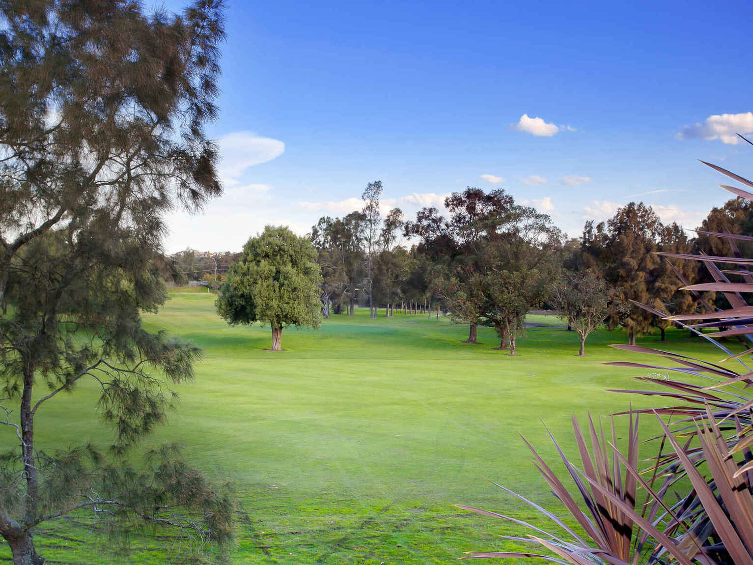 7/48 Duntroon Street Hurlstone Park