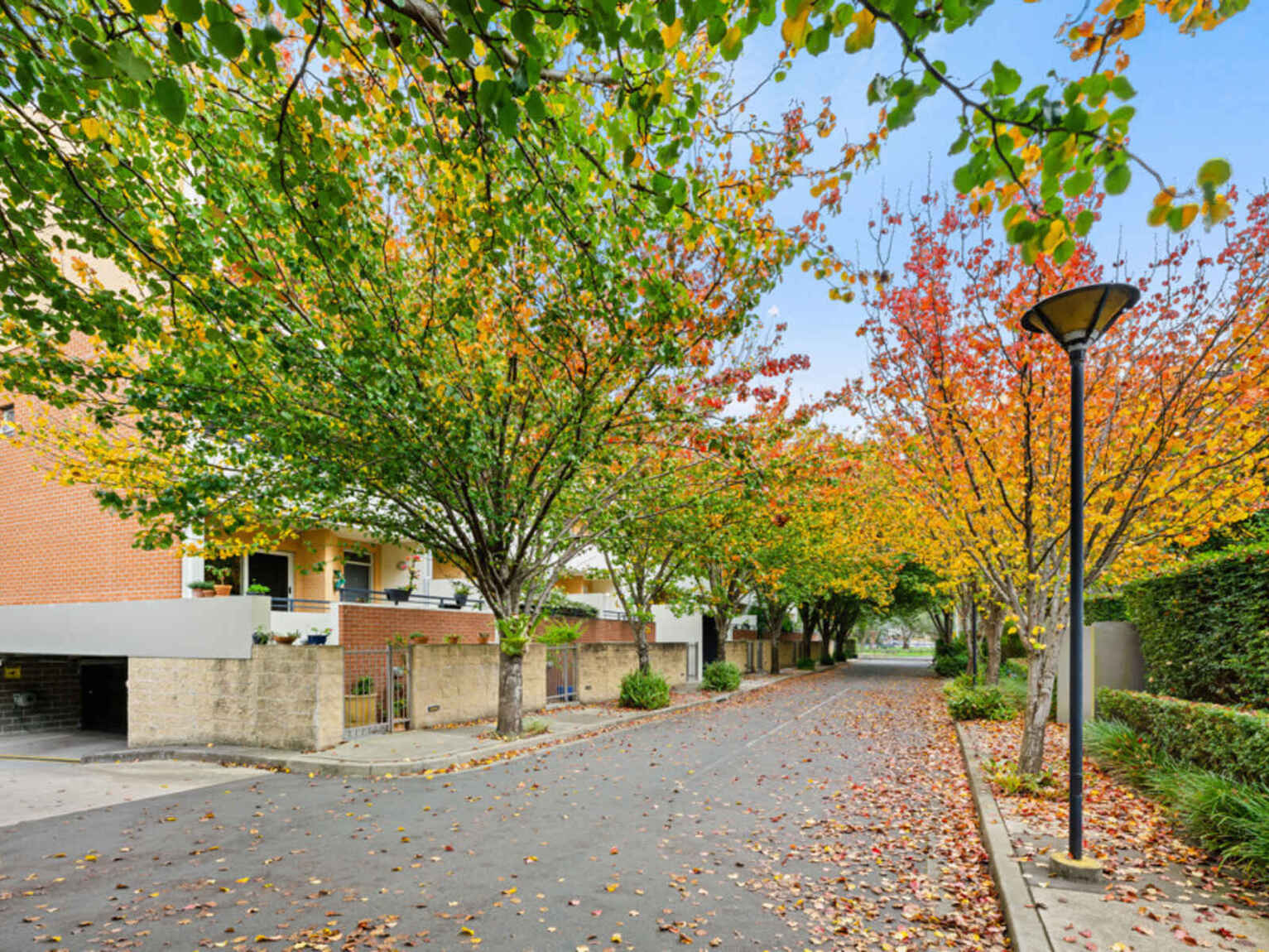 82/20 Close Street Canterbury 82/20 Close Street Canterbury