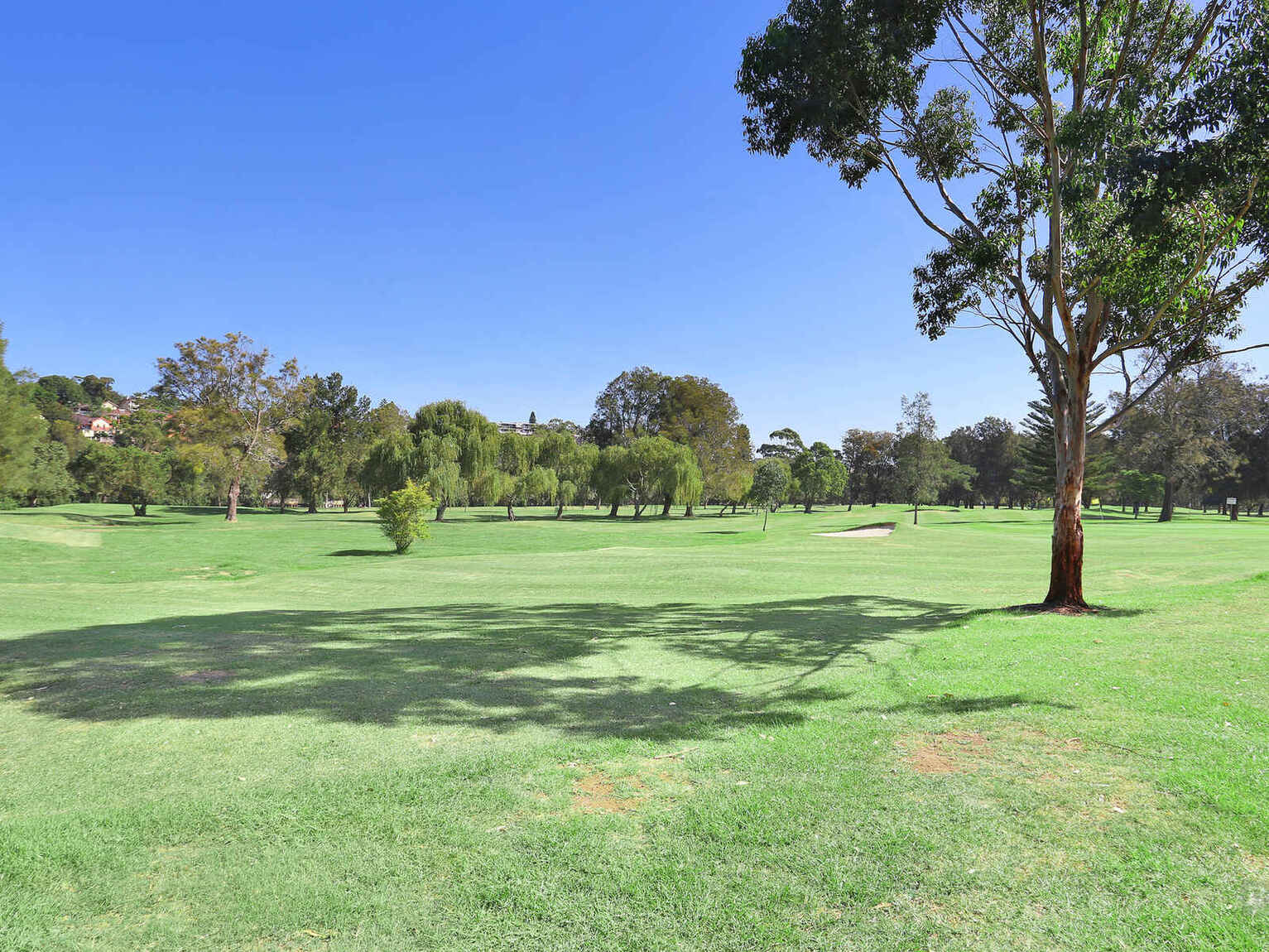 1/9 Hill Street Marrickville