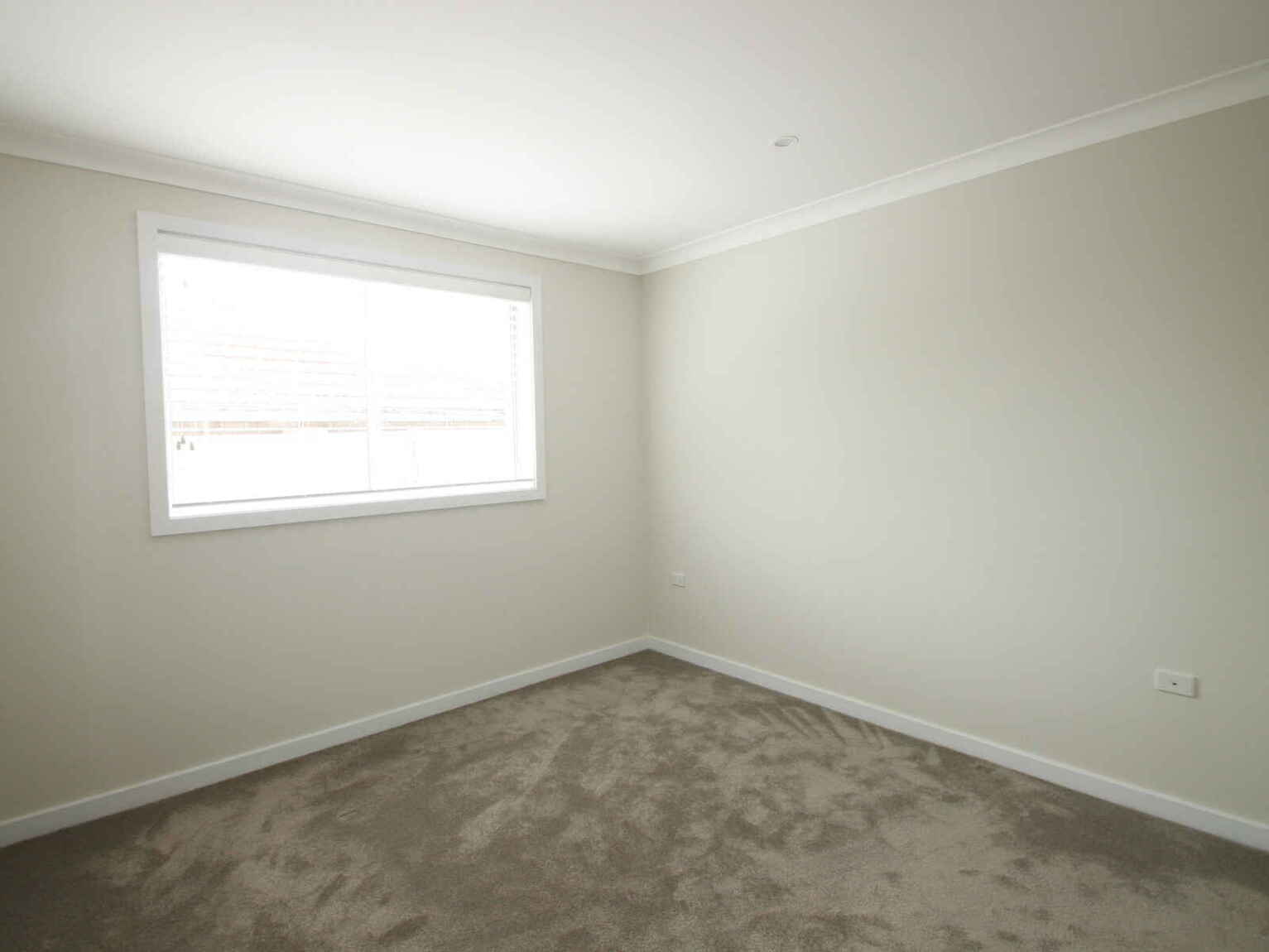 1/3 Roach Street Marrickville