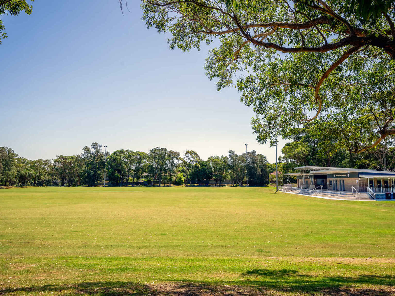 88 Canterbury Road Hurlstone Park