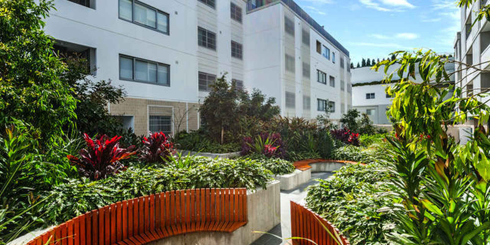361/803 New Canterbury Road Dulwich Hill