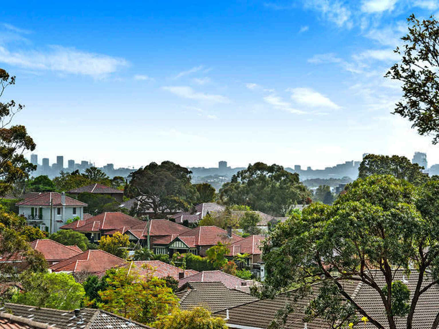 361/803 New Canterbury Road Dulwich Hill