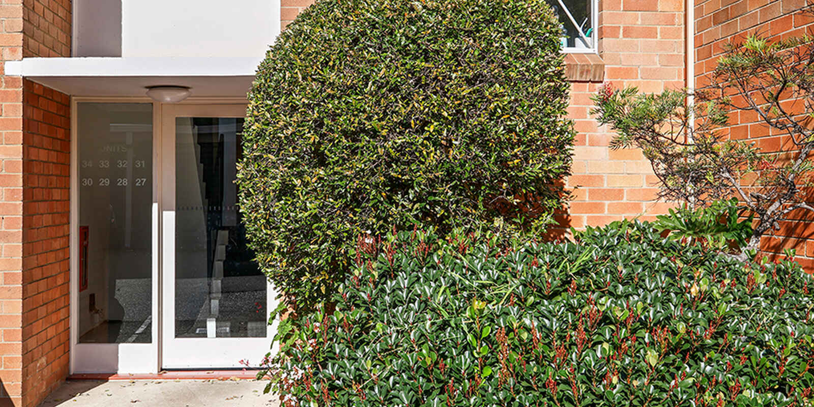 30/22 Ness Avenue Dulwich Hill